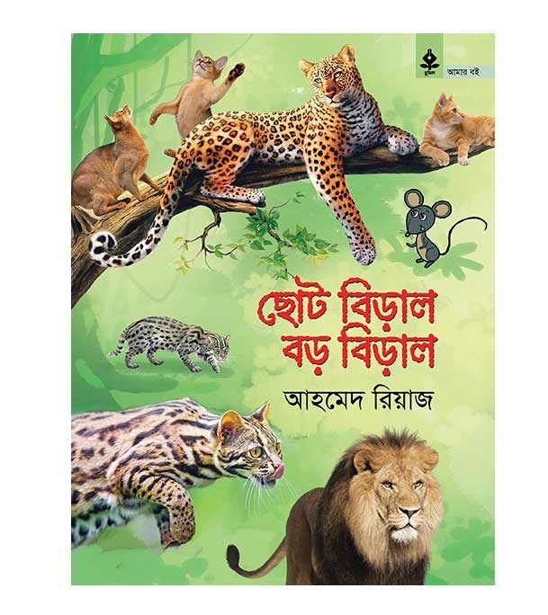 চাঁদের বুড়ির বয়স যখন ষোলো (হার্ডকভার)