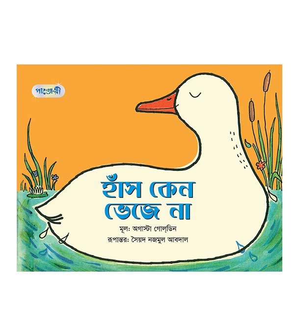 চাঁদের বুড়ির বয়স যখন ষোলো (হার্ডকভার)