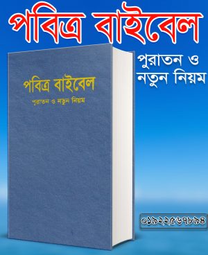 চাঁদের বুড়ির বয়স যখন ষোলো (হার্ডকভার)