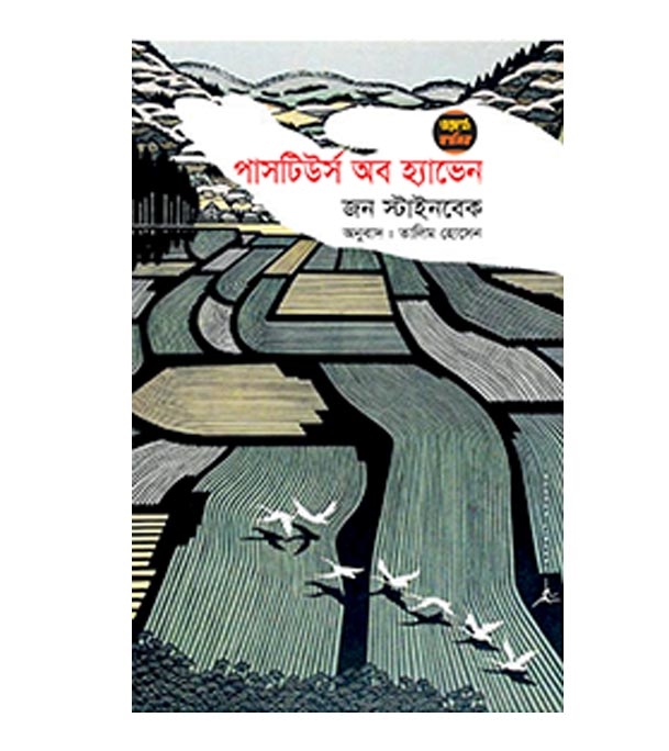 চাঁদের বুড়ির বয়স যখন ষোলো (হার্ডকভার)