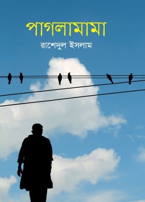 চাঁদের বুড়ির বয়স যখন ষোলো (হার্ডকভার)